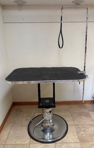 lot 14 image: Pet Grooming Station