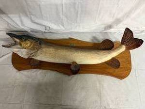 lot 40 image: Northern Pike Wall Mount