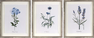 lot 241 image: 3PCS 16x20 Framed Vintage Botanicals Decorative Wall Art NaturalBlue - Threshold