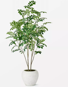 lot 83 image: Moringa Artificial Tree Green - Threshold Designed with Studio McGee Unlit, Polyester, Indoor Decor