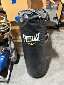 lot 22 image: Punching Bag
