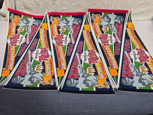 lot 237 image: Minnesota Twins 1991 World Champions Pennants
