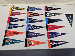 lot 250 image: NFL Team Mini Pennants
