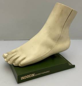 lot 42 image: Vintage INDOCIN (IndomethacinMSD) Anatomical Foot Model 8 L x 7 12 H x 4 12 Wide