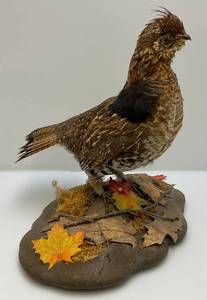 lot 141 image: Vintage 1960s-70s Grouse Mount (VERY COOL)