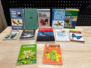 lot 29 image: Educational Books