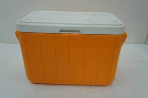 lot 168 image: Coleman Cooler 18.5x10.5x 13