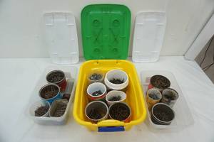 lot 253 image: Hardware & Storage Containers