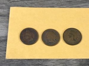 lot 205 image: 3 - Indian Head Pennies  - 1895  1898  1899