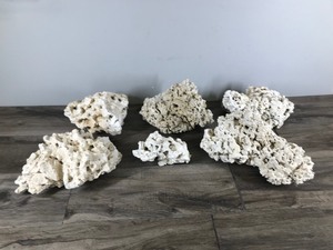 lot 405 image: 6 Pieces of Coral