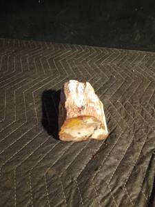 lot 185 image: Large pc of Petrified wood