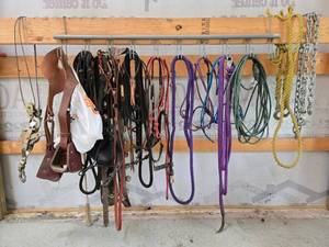 lot 50 image: Collection of Equine Tack and Equipment