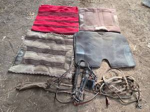lot 108 image: Collection of Equine Saddle Pads and Tack