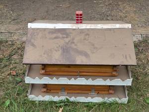 lot 129 image: Decorative Wooden Birdhouse with Painted Roof and Chimney