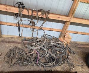 lot 135 image: Collection of Mixed Equestrian Tack and Harness Parts