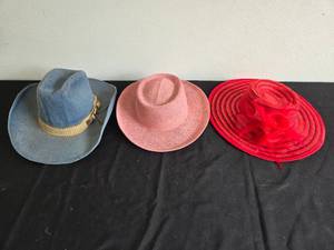 lot 321 image: Set of 3 Fashionable Womens Hats in Denim, Pink, and Red