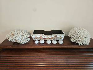 lot 62 image: Cauliflower Coral & Sea Shell Grouping
