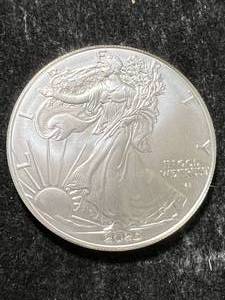 lot 92 image: 2025 AMERICAN SILVER EAGLE 1 TROY OZ .999 FINE SILVER