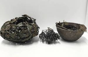 lot 252 image: ..