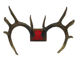 lot 66 image: Nice Larger Whitetail Deer 10-Point Buck Antler Mount