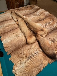 lot 162 image: Animal Pelt