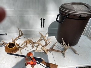 lot 208 image: Air Rifle and Deer Antlers