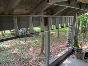 lot 244 image: 24 ft Extension Ladder and 6 ft Step Ladder