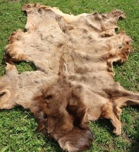 lot 30 image: DEER HIDE
