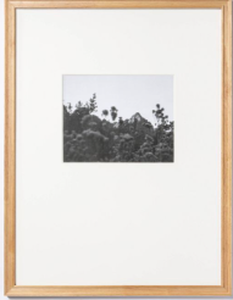 lot 210 image: LOT OF 2  Threshold designed wStudio McGee 18 x 24 Matted to 8 x 10 Gallery Frame Natural Wood