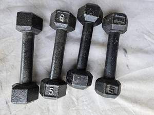 lot 117 image: Lot of Four 5LB Metal Hex Dumbbells (USED)