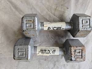 lot 121 image: Lot of a pair of 10LB Metal Hex Dumbbells (USED)
