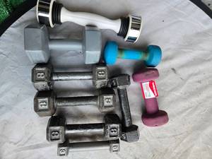 lot 129 image: Lot of more than 45LB Dumbbells (USED)