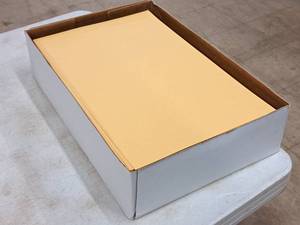 lot 193 image: Lot of (1 Box) Index Paper  Goldenrod 11x17