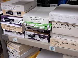 lot 230 image: Lot of (1 Shelf  13 Items) Assorted Text and Cover Paper Stock - 70# White Text, 80# White Text, 70# Text Vellum, 70# Text White, 80# Pure White Mohawk Cover, 100# Natural Cover, 100# White Cover, 65# White Cover 8-12x11
