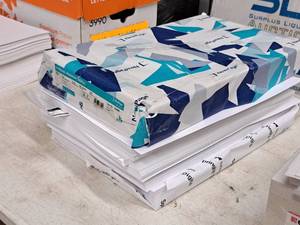 lot 203 image: Lot of (1 Stack) Assorted Cover Sheets - 100# Dull, 67# Vellum 11x17