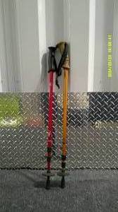lot 10 image: 2 Telescoping Hiking Wading Sticks