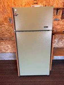 lot 181 image: Stylish Green Colored Frigidaire Elite Refrigerator works great, Pickup location in Lewisville, call to make arrangements