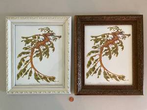 lot 317 image: Limited Edition Leafy Seadragon Artwork Set - Signed and Numbered
