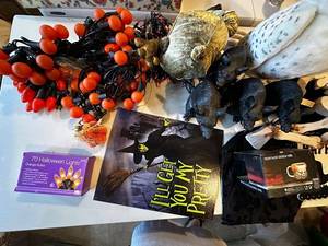 lot 795 image: Large Set of Halloween Decorations Including Witch Sign and Lights