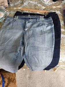 lot 565 image: Set of 2 Womens G by Giuliana 22W Jeans, Light and Dark Wash