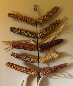 lot 326 image: Antique Metal Corn Drying Rack with Dried Corn