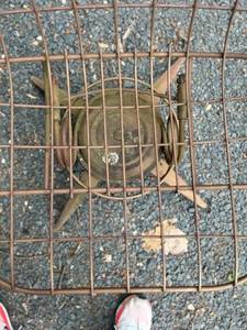 lot 2 image: Vintage Outdoor Wire Mesh Patio Chair with Red Armrests