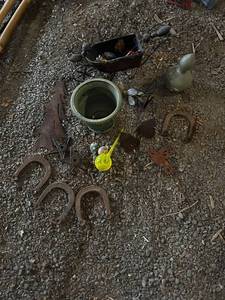 lot 155 image: Collection of Rustic Garden Decor with Horseshoes and Stars