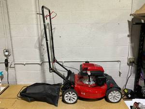 lot 196 image: 21 in. 3-in-1 Gas Push Lawn Mower