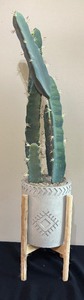 lot 153A image: Fabulous Faux Cactus