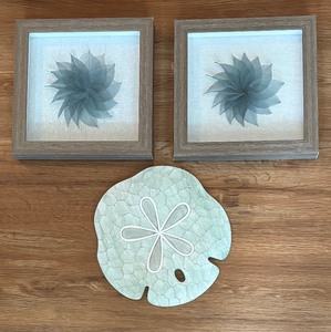 lot 127 image: Shadowbox Style and Sand Dollar Motif Decor