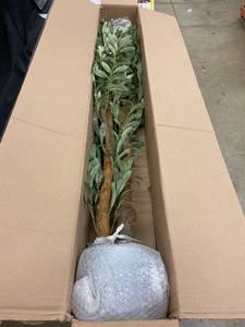 lot 21 image: OXLLXO Artificial Olive Tree in Natural Look Finish