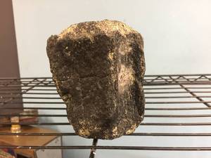 lot 204 image: Primitive Whale Vertebrae