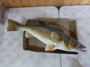 lot 132 image: Walleye Mount