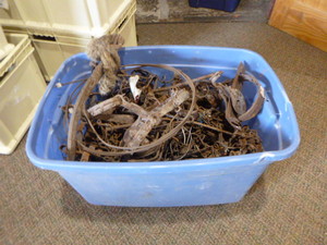 lot 137 image: Small Animal Traps